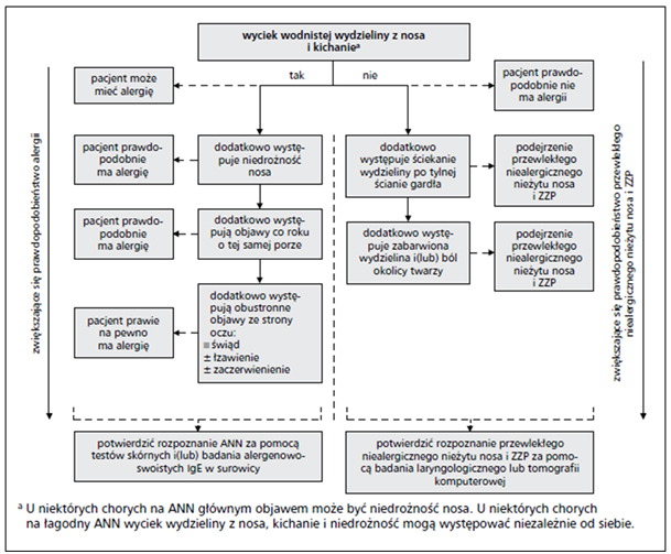 Schemat różnicowania ANN