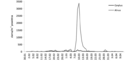 Przebieg sezonów pyłkowych Corylus i Alnus w Lublinie w 2014 r.