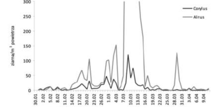 Porównanie przedstawiające bardzo duże różnice w wartościach dobowych stężeń pyłku Corylus i Alnus w Lublinie w 2014 r. 
