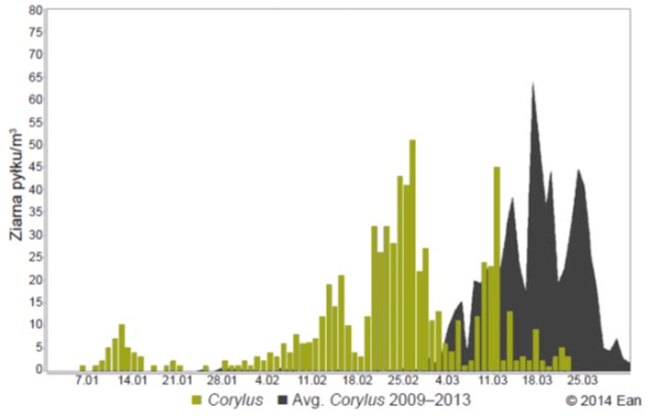 Stężenie pyłków leszczyny w Olsztynie w 2014 r. na tle średniej 5 letniej (z lat 2009-2013). Źródło: baza EAN (European Aerobiology Network).