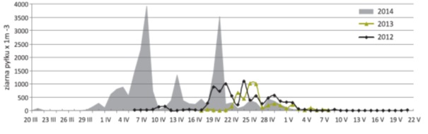 Stężenie pyłków brzozy w Szczecinie.