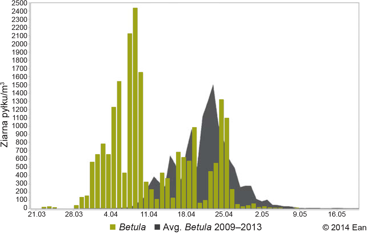 Stężenie pyłku brzozy w Warszawie w 2014 r. na tle średniej 5-letniej (z lat 2009-2013) Źródło: baza EAN (European Aerobiology Network).  
