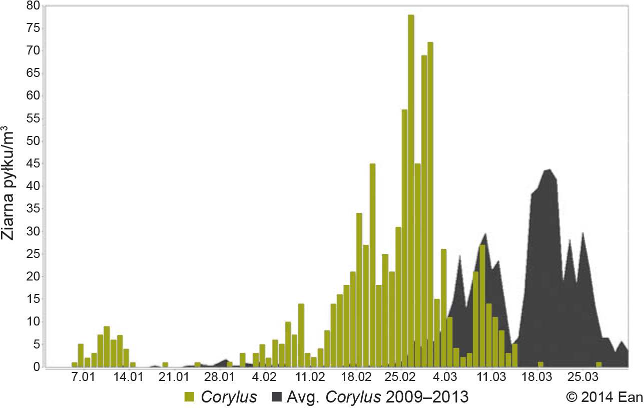 Stężenie pyłku leszczyny w Warszawie w 2014 r. na tle średniej 5-letniej (z lat 2009-2013) Źródło: baza EAN (European Aerobiology Network).