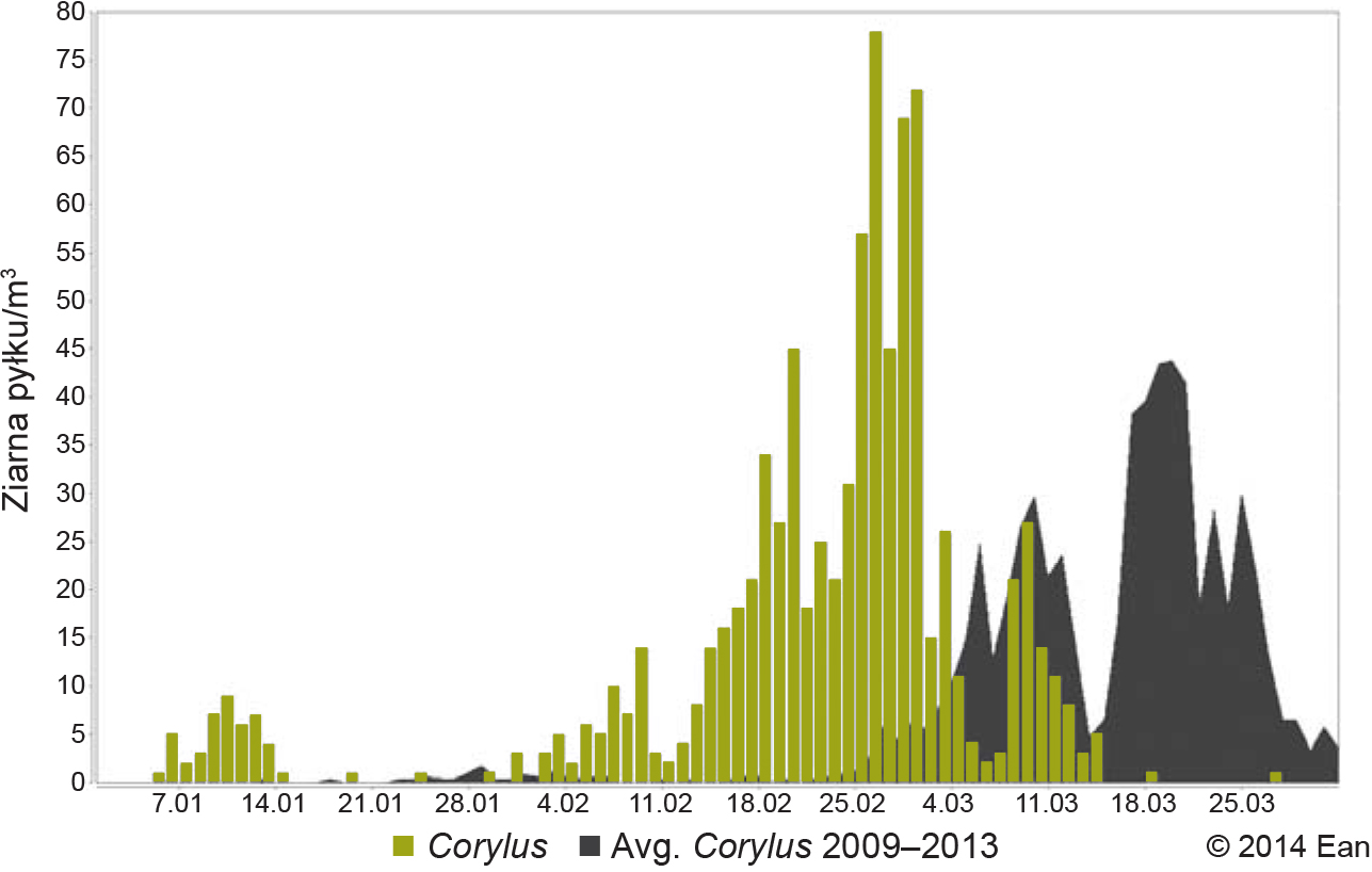 Stężenie pyłku leszczyny w Warszawie w 2014 r. na tle średniej 5-letniej (z lat 2009-2013) Źródło: baza EAN (European Aerobiology Network).  